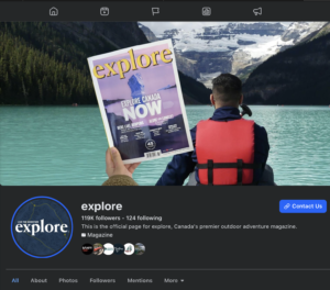 David webb publisher