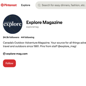 David webb publisher